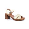 CARLABOU 35 41